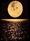 20070603144200-luna.jpg
